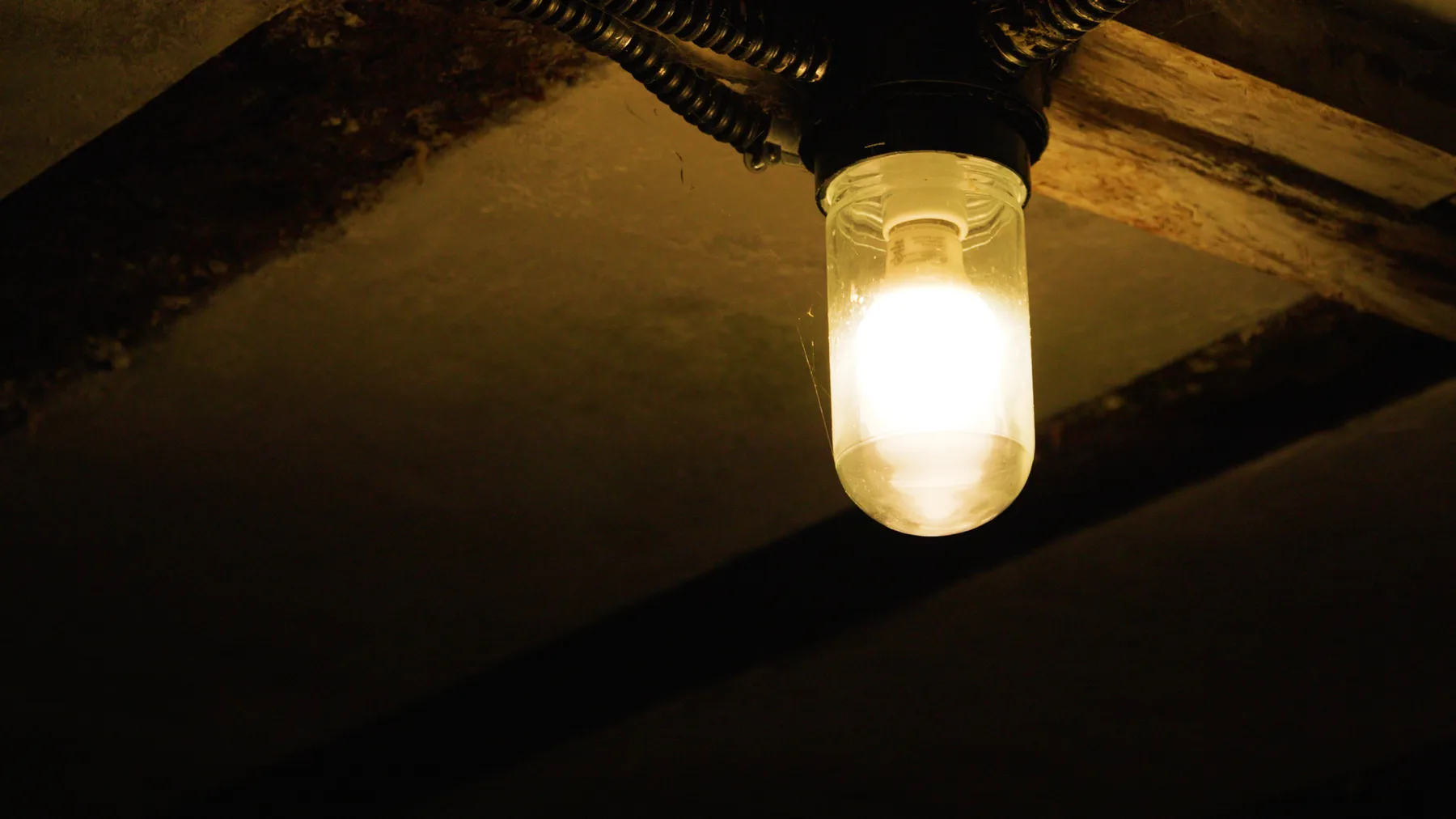 Visual Colorist, image 13