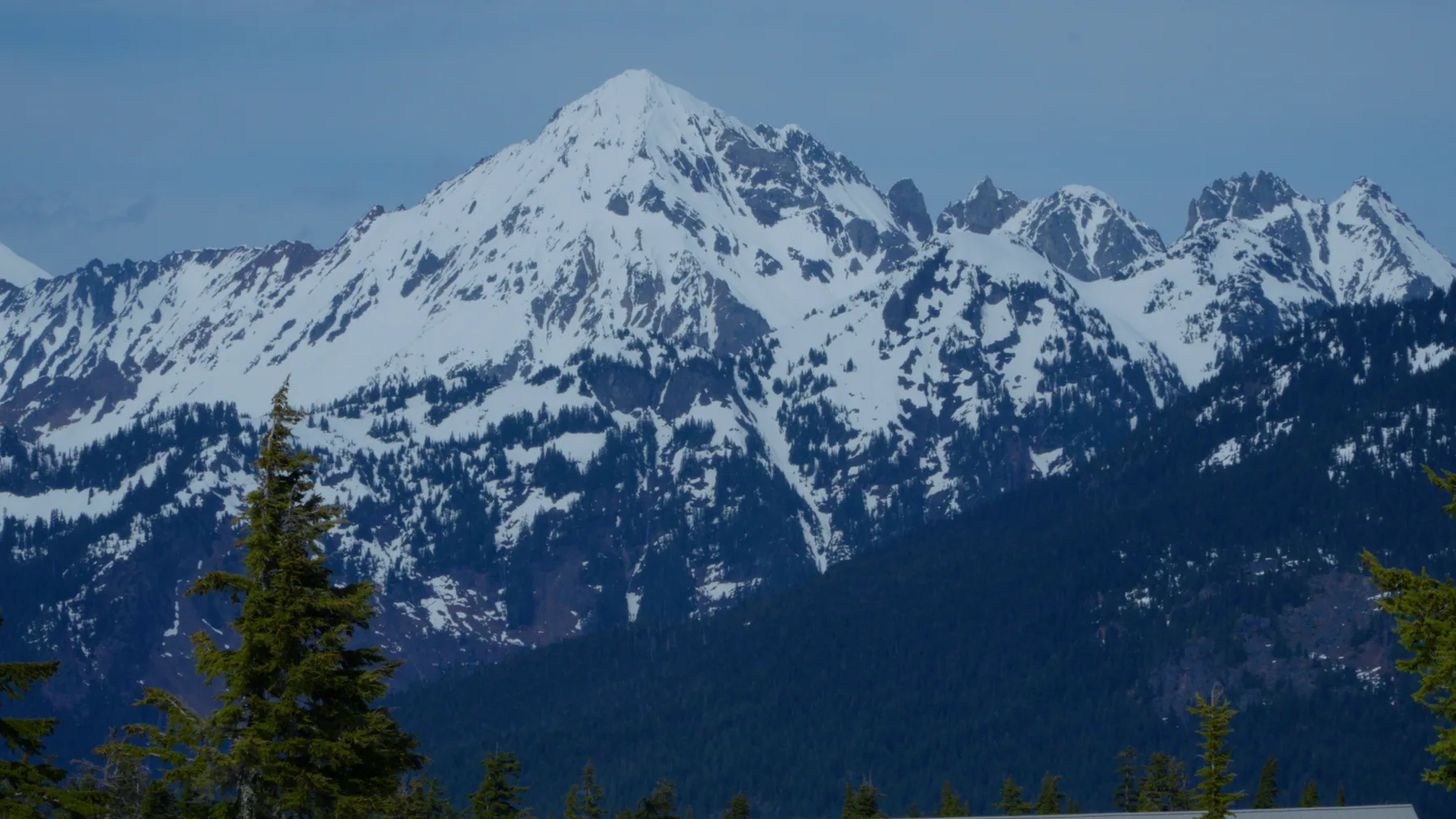 Visual Colorist, image 11