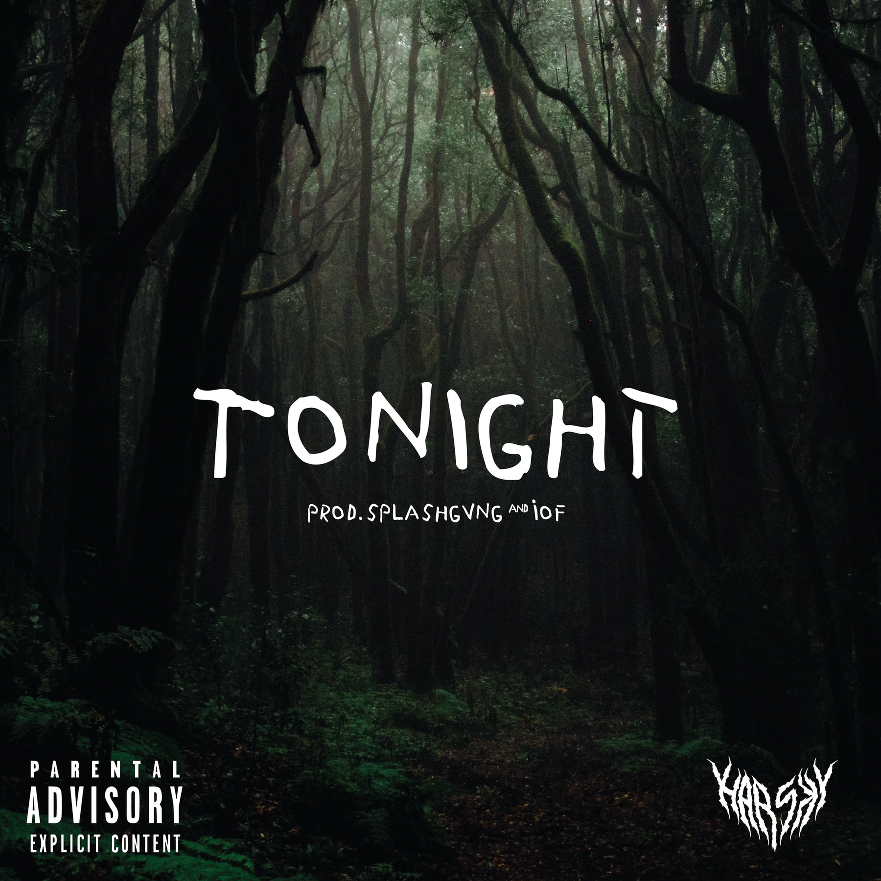 Album Cover Art, image 8
